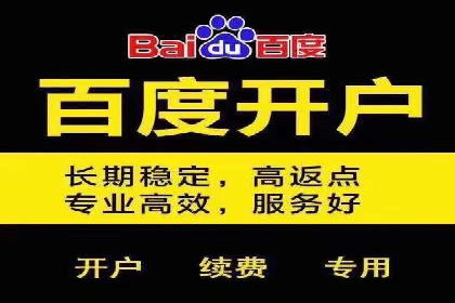 SEM营销推广案例分析：行业领跑者如何打造品牌
